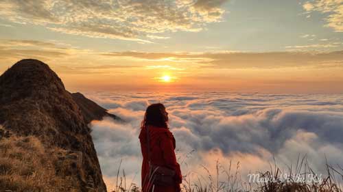săn m&acirc;y t&agrave; x&ugrave;a