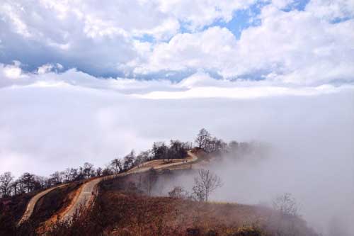 săn m&acirc;y y t&yacute;