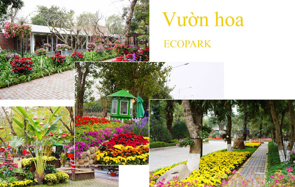 vườn hoa ecopark