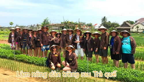 làm nông dân tại trà quế làm nông dân tại trà quế