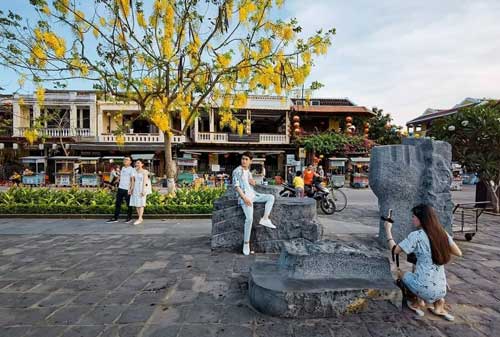 hoa muông vàng osaka 1 hoa muông vàng osaka 1