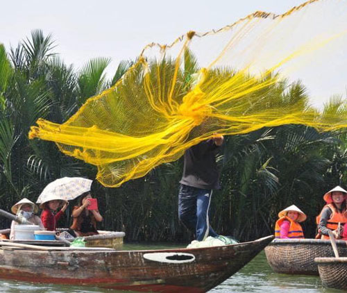 rừng dừa hội an