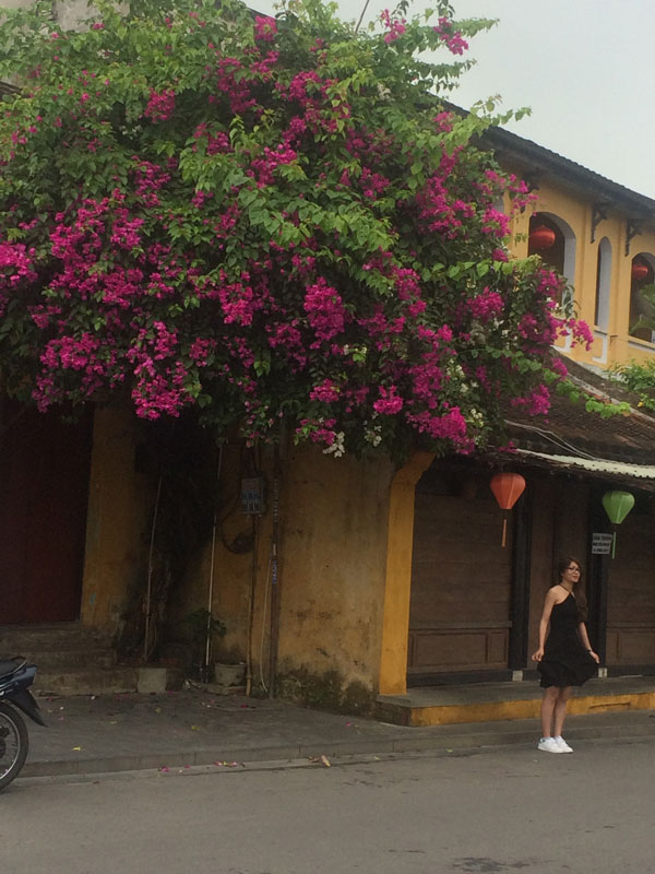 hoa giấy 2