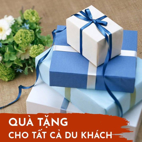chào mứng ngày nhà giáo việt nam 3 chào mứng ngày nhà giáo việt nam 3