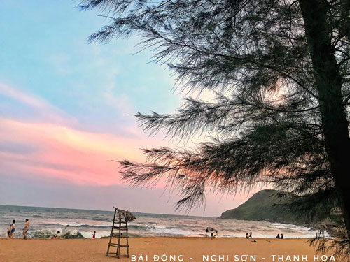 b&atilde;i đ&ocirc;ng thanh h&oacute;a