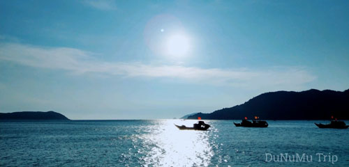 c&ugrave; lao ch&agrave;m 1